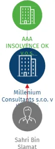 Millenium Consultants s.r.o. v likvidaci, IČO: 25621491: vizualizace vztahů osob a společností