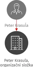 Peter Krasuľa, organizační složka, IČO: 25895664: vizualizace vztahů osob a společností