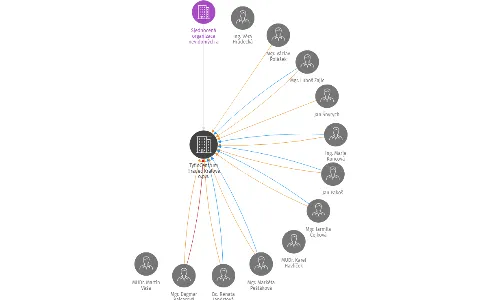 TyfloCentrum Hradec Králové o.p.s., IČO: 25975498: vizualizace vztahů osob a společností
