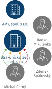 Vizualizace vztahů osob a společností - Strakonická lesní spol. s r.o.