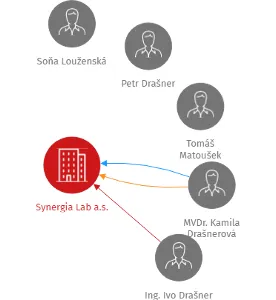Synergia Lab a.s., IČO: 26008343: vizualizace vztahů osob a společností