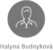 Halyna Budnyková, IČO: 26376105: vizualizace vztahů osob a společností