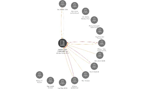 Nadační fond DOMINANTY na obnovu kulturního dědictví v západních Čechách, IČO: 26414732: vizualizace vztahů osob a společností