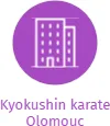 Kyokushin karate Olomouc, IČO: 26593131: vizualizace vztahů osob a společností