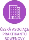 ČESKÁ ASOCIACE PRAKTIKANTŮ BOWENOVY METODY, IČO: 26552493: vizualizace vztahů osob a společností