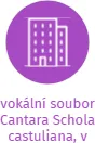 vokální soubor Cantara Schola castuliana, v likvidaci, IČO: 26535700: vizualizace vztahů osob a společností