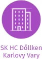 SK HC Dőllken Karlovy Vary, IČO: 26525534: vizualizace vztahů osob a společností