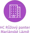 HC Růžový panter Mariánské Lázně, IČO: 26586959: vizualizace vztahů osob a společností