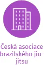 Česká asociace brazilského jiu-jitsu, IČO: 26590328: vizualizace vztahů osob a společností