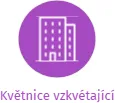 Květnice vzkvétající, IČO: 26579839: vizualizace vztahů osob a společností