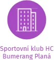 Sportovní klub HC Bumerang Planá, IČO: 26551331: vizualizace vztahů osob a společností