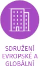 SDRUŽENÍ EVROPSKÉ A GLOBÁLNÍ SPOLUPRÁCE, IČO: 26556111: vizualizace vztahů osob a společností