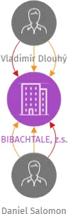 BIBACHTALE, z.s., IČO: 26639416: vizualizace vztahů osob a společností