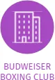 BUDWEISER BOXING CLUB, IČO: 26680432: vizualizace vztahů osob a společností