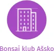 Bonsai klub Ašsko, IČO: 26602229: vizualizace vztahů osob a společností