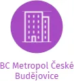 BC Metropol České Budějovice, IČO: 26630451: vizualizace vztahů osob a společností