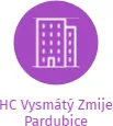 HC Vysmátý Zmije Pardubice, IČO: 26677687: vizualizace vztahů osob a společností