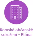 Romské občanské sdružení - Bílina, IČO: 26644673: vizualizace vztahů osob a společností