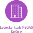 Letecký klub PEGAS Košice, IČO: 26996871: vizualizace vztahů osob a společností