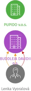 BUDDLEIA DAVIDII o.s., IČO: 27047113: vizualizace vztahů osob a společností