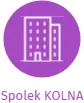 Spolek KOLNA, IČO: 27051781: vizualizace vztahů osob a společností