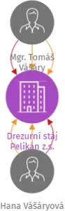 Drezurní stáj Pelikán z.s., IČO: 27055752: vizualizace vztahů osob a společností