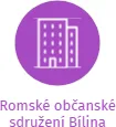 Romské občanské sdružení Bílina, IČO: 27006638: vizualizace vztahů osob a společností