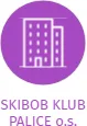SKIBOB KLUB PALICE o.s., IČO: 27046788: vizualizace vztahů osob a společností