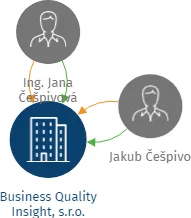 Business Quality Insight, s.r.o., IČO: 27575314: vizualizace vztahů osob a společností