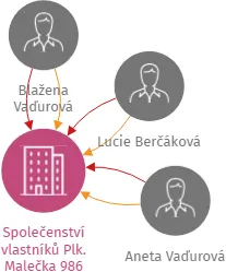 Vizualizace vztahů osob a společností - Společenství vlastníků Plk. Malečka 986