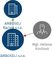 AMBOSELI s.r.o., IČO: 27623505: vizualizace vztahů osob a společností