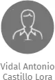 Vidal Antonio Castillo Lora, IČO: 27694232: vizualizace vztahů osob a společností