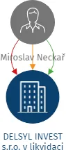 Vizualizace vztahů osob a společností - DELSYL INVEST s.r.o. v likvidaci