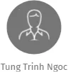 Tung Trinh Ngoc, IČO: 28027221: vizualizace vztahů osob a společností
