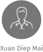 Xuan Diep Mai, IČO: 28035381: vizualizace vztahů osob a společností
