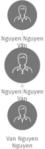Nguyen Nguyen Van, IČO: 28020294: vizualizace vztahů osob a společností