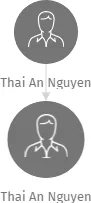 Thai An Nguyen, IČO: 28295919: vizualizace vztahů osob a společností