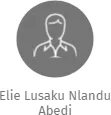 Elie Lusaku Nlandu Abedi, IČO: 28375823: vizualizace vztahů osob a společností