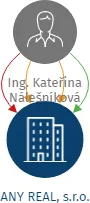 ANY REAL, s.r.o., IČO: 28596951: vizualizace vztahů osob a společností