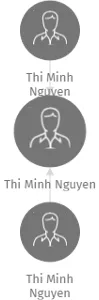 Thi Minh Nguyen, IČO: 28522702: vizualizace vztahů osob a společností