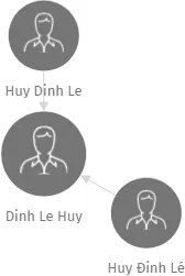 Dinh Le Huy, IČO: 28536398: vizualizace vztahů osob a společností