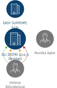 DLI DISTRI s.r.o. v likvidaci, IČO: 28627474: vizualizace vztahů osob a společností