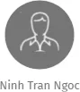Ninh Tran Ngoc, IČO: 28698703: vizualizace vztahů osob a společností