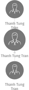 Thanh Tung Tran, IČO: 28733843: vizualizace vztahů osob a společností