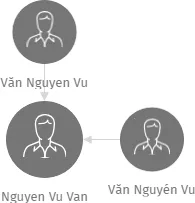 Nguyen Vu Van, IČO: 28721144: vizualizace vztahů osob a společností