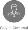 Galyna Gomonai, IČO: 28956541: vizualizace vztahů osob a společností