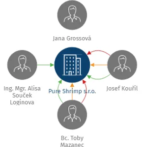 Pure Shrimp s.r.o., IČO: 29021022: vizualizace vztahů osob a společností