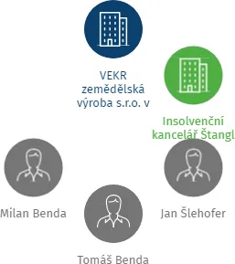 APM PROFI s.r.o. v likvidaci, IČO: 29066069: vizualizace vztahů osob a společností