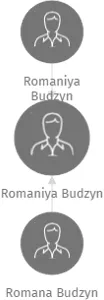 Romaniya Budzyn, IČO: 29077303: vizualizace vztahů osob a společností