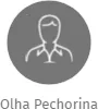 Olha Pechorina, IČO: 29072069: vizualizace vztahů osob a společností